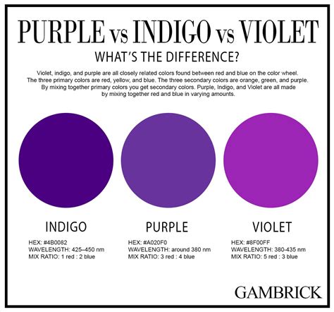 violet and purple|violet and purple near me.